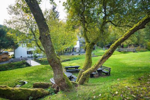 domaine du moulin dasselborn