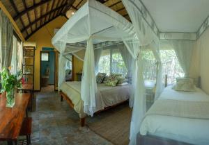 livingstone