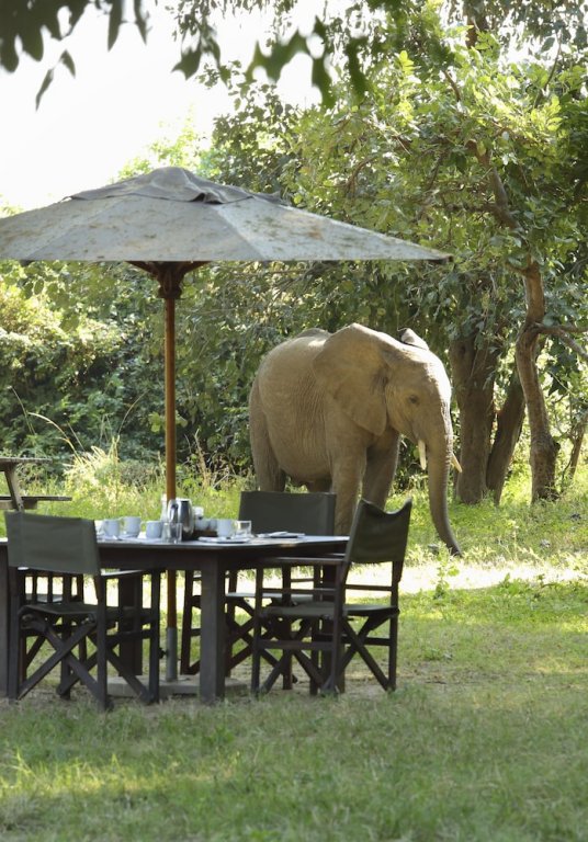Flatdogs Camp,In A National Park,4 star