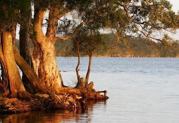 nrma myall shores holiday park