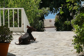 galini mare