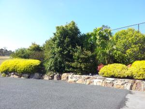 robyns nest boutique resort