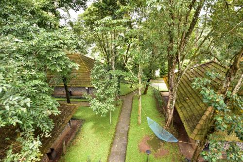 Treetop,Kumily>>Idukki,3 star