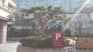 hotel aura