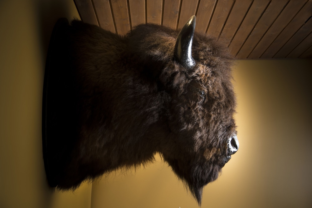 hotel musee premieres nations