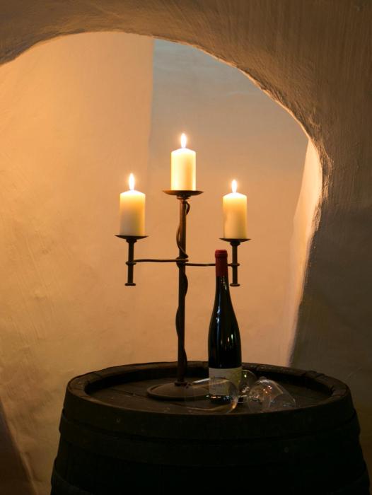 hofgut wi berg das weinberghotel