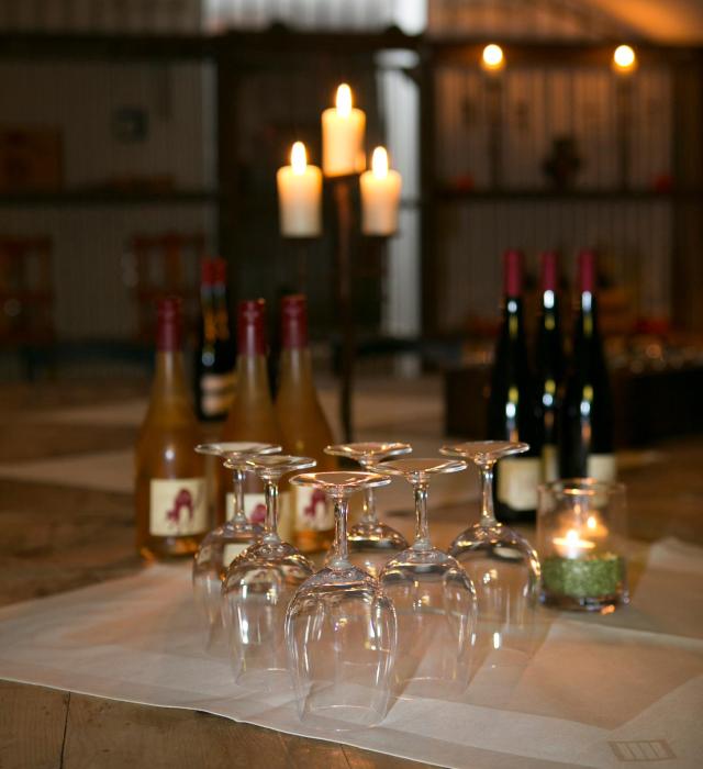 hofgut wi berg das weinberghotel