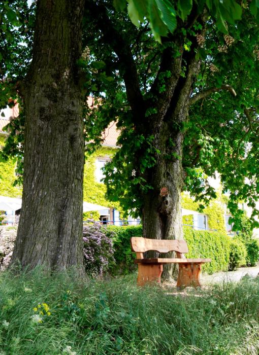 hofgut wi berg das weinberghotel
