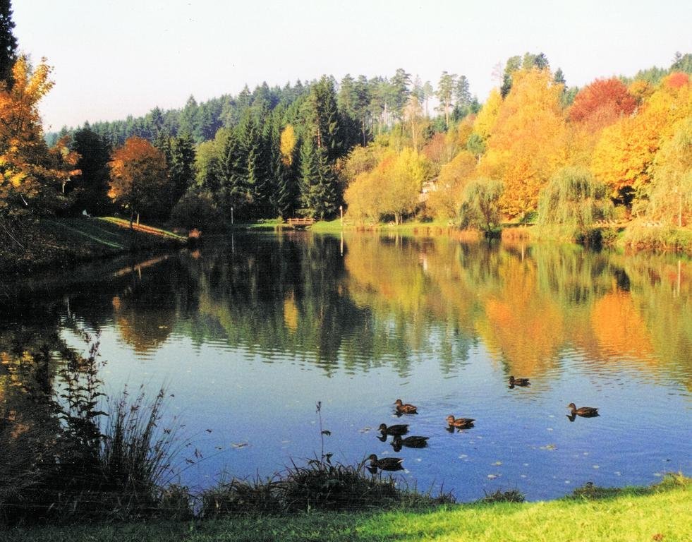 hotel breitenbacher hof