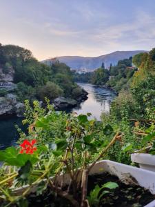 Bristol,Mostar>>Federation Of Bosnia And Herzegovina,4 star