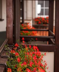 regiohotel wolmirstedter hof wolmirstedt