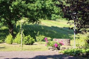 Hotel Tannenhof,Gonterskirchen>>Giessen,3 star