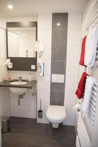 Hotel Roter Ochsen Lauchheim,Laucheim>>Aalen,3 star