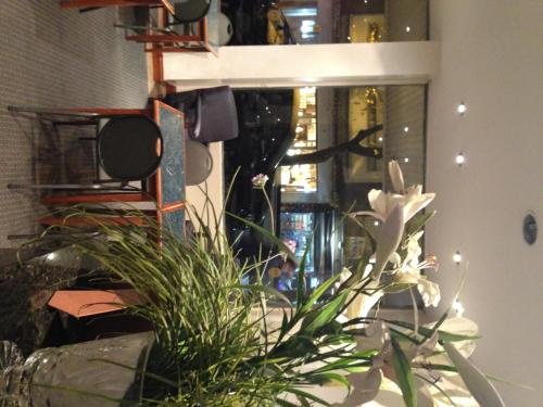 Vidda Y Viken Apart Hotel,Buenos Aires Province>>Mar Del Plata,3 star