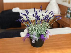 hotel kaiser