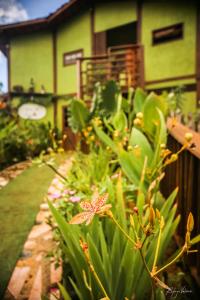 beco pousada boutique noronha