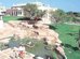 grupotel playa club