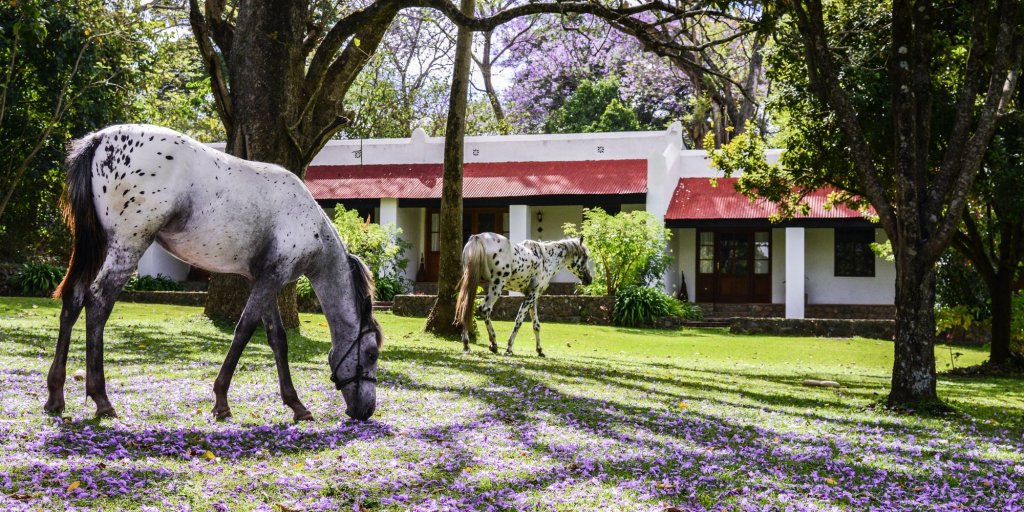 Ngare Sero Mountain Lodge,Arusha>>Arumeru,4 star