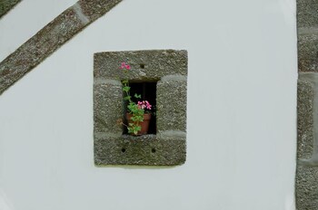casa de alfena