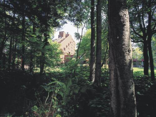 mori no spa resort hokkaido hotel