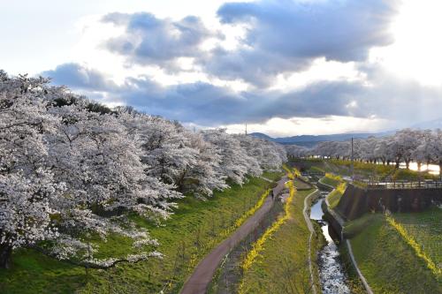 mercure miyagi zao resort and spa