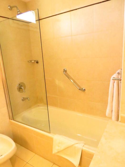palermo suites buenos aires hotel and apartments