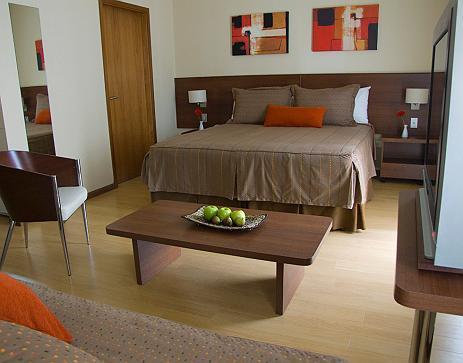 palermo suites buenos aires hotel and apartments