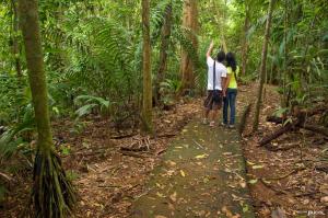 La Selva Biological Station,Horquetas>>Heredia,3 star