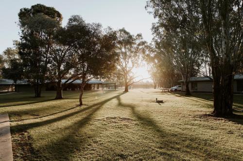 the paddock at ulupna