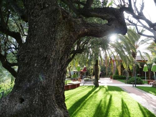 relais san damian