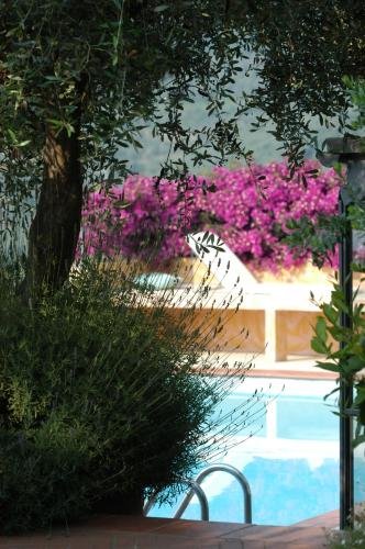 relais san damian