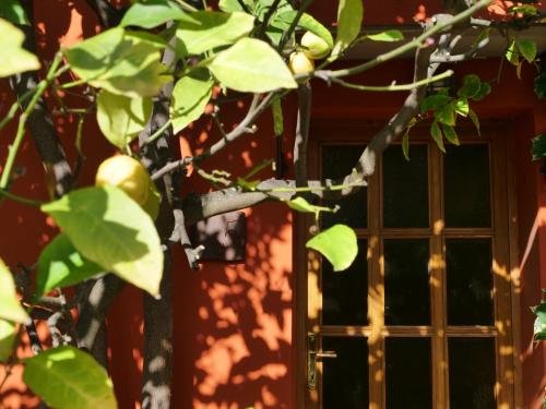 relais san damian