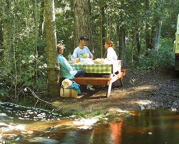 the fernery lodge and spa