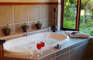 the fernery lodge and spa