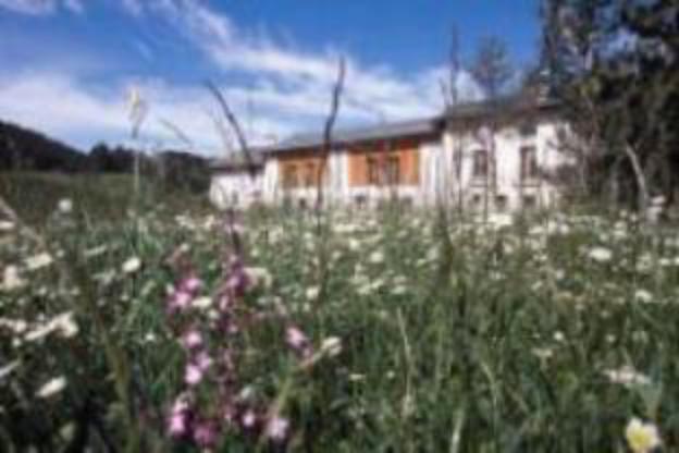 hotel chesa pool val fex