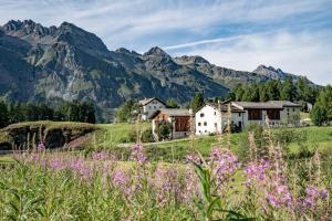 sils im engadin segl