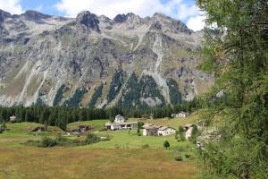 sils im engadin segl