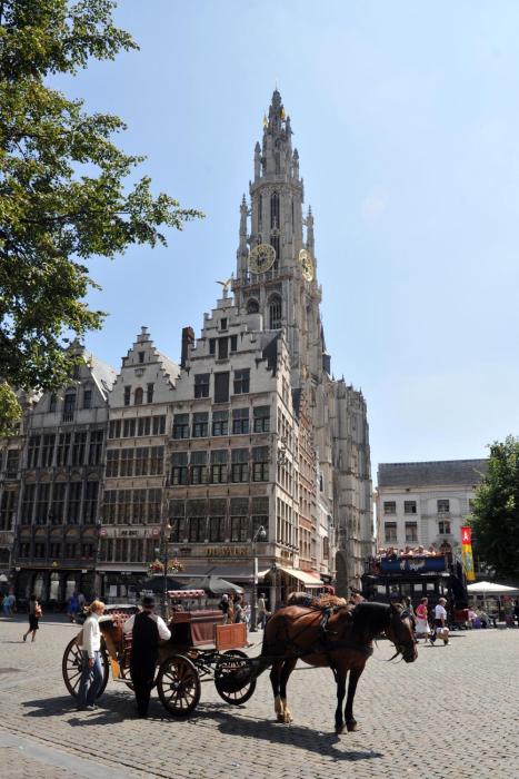 arass hotel and business flats