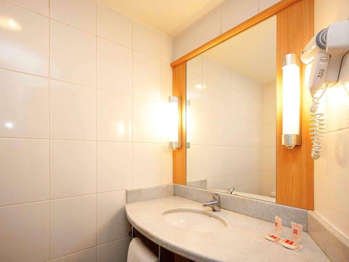 ibis rio de janeiro santos dumont