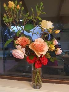 Barooga Country Inn Motel,Berrigan>>Barooga,4 star