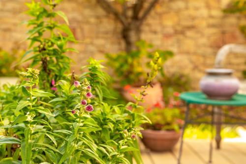 the rooms bed and breakfast