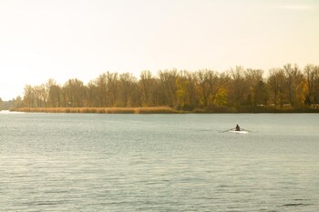 the rooms bed and breakfast