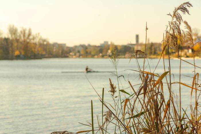 the rooms bed and breakfast