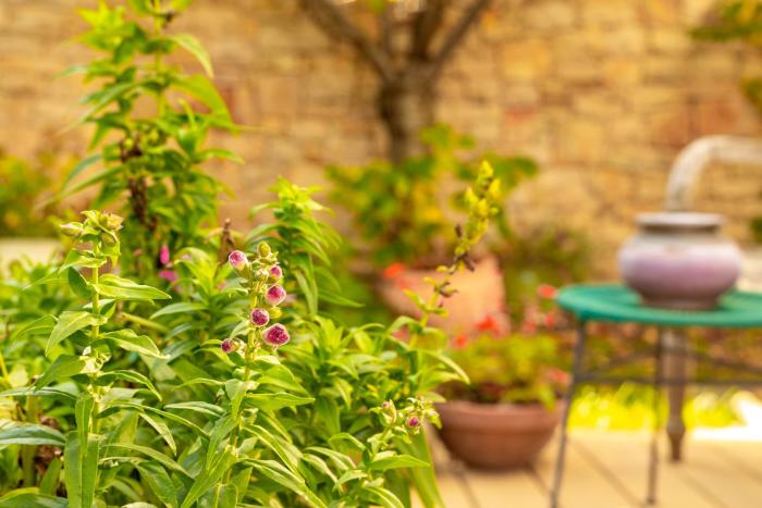 the rooms bed and breakfast