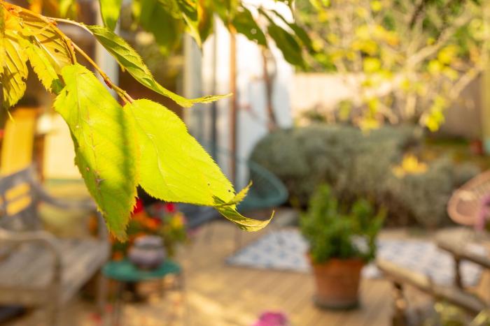 the rooms bed and breakfast