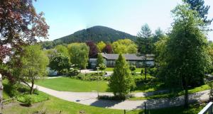 willingen