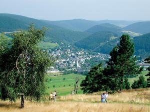 willingen