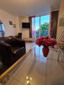 Cara Vita Hotel,Cologne>>Altstadt-Nord,3 star