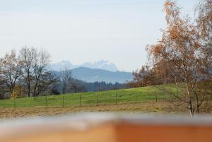 landgasthof pension sontheim