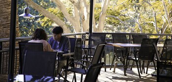 paradise island resort